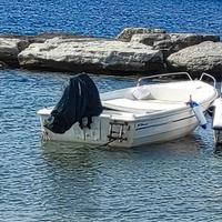 BARCA 4,5 mt  IN VETROERESINA + MOTORE MERCURY 20