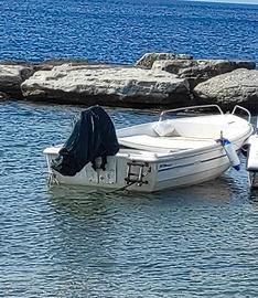 BARCA 4,5 mt  IN VETROERESINA + MOTORE MERCURY 20