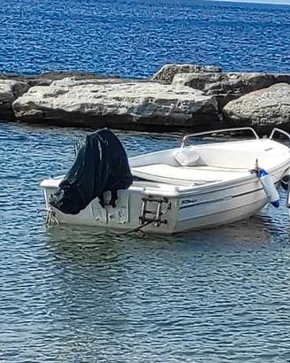 BARCA 4,5 mt  IN VETROERESINA + MOTORE MERCURY 20