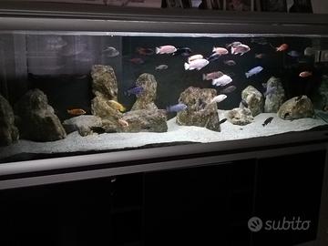 Acquario ferplast 750 litri