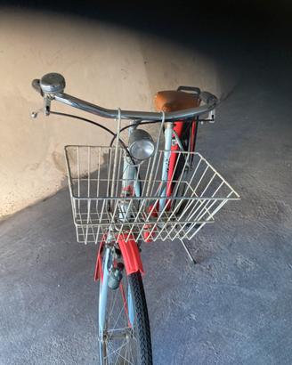 Bici olandesina