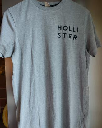 polo Hollister 