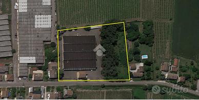 CAPANNONE A NOVI DI MODENA