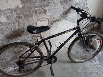 bicicletta