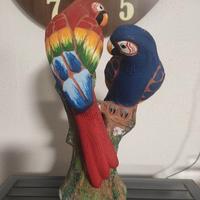 PAPPAGALLI VENEZUELANI