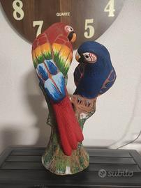 PAPPAGALLI VENEZUELANI