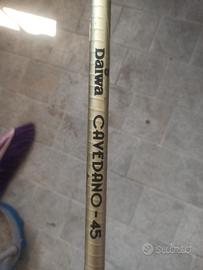 canna da pesca daiwa