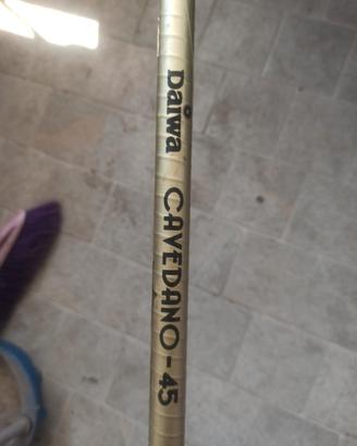 canna da pesca daiwa