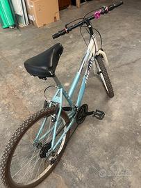 Bicicletta mis 24