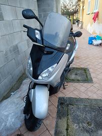 Xmax 250