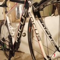 Focus Izalco Pro