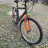 Bicicletta a Torino arancione