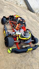 Go Kart Intrepid KZ2 125 2024 con K9C