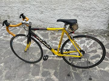 Bici olmo