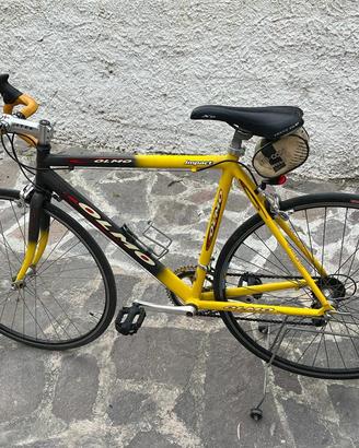 Bici olmo