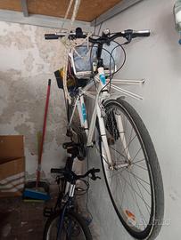 Bicicletta Schiano adulto 