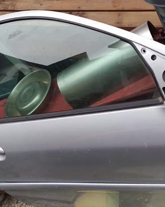 Portiera Peugeot 206