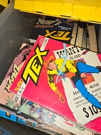fumetti  tex 