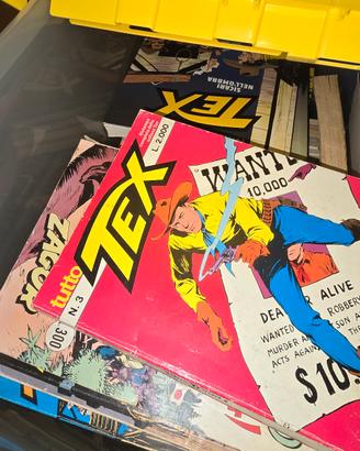 fumetti  tex 