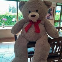 peluche teddy alto circa 2 metri 