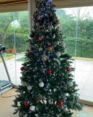 Albero di Natale