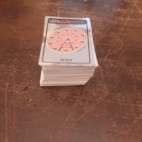 lotto figurine panini euro 2008