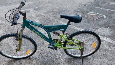 Due Biciclette 