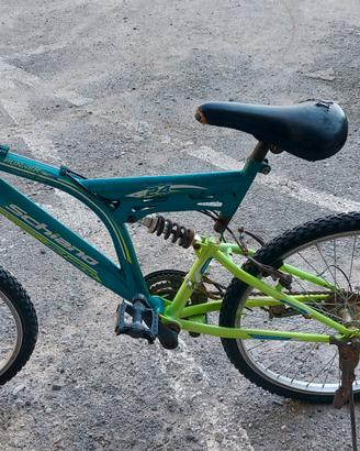 Due Biciclette 