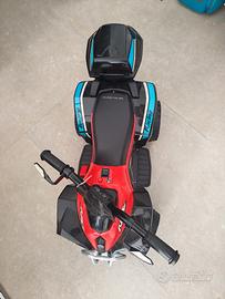 quad elettrico 