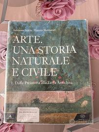 Arte una storia naturale e civile 1