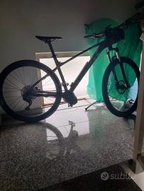 bicicletta elettrica 