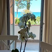 Diano Marina - Casa vacanze Gloria - vista mare