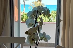 Diano Marina - Casa vacanze Gloria - vista mare