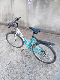 bicicletta Mountain bike 