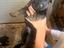 Immagine 1
