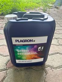 Concime green sensation