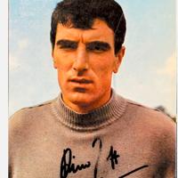 cartolina autografata Dino zoff 