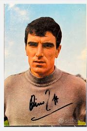 cartolina autografata Dino zoff 