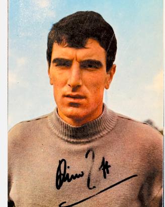 cartolina autografata Dino zoff 