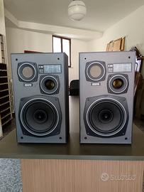 Diffusori autocostruiti Full Range 8 pollici