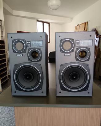 Diffusori autocostruiti Full Range 8 pollici
