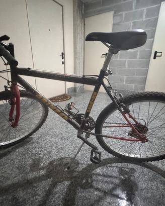 Mountain bike uomo/donna