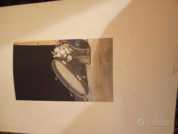 Litografia di Antonio Caneva 