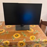 Schermo pet PC Asus ROG SWIFT PG 278Q 27 pollici