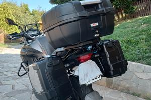 Benelli TRK 502 - 2017