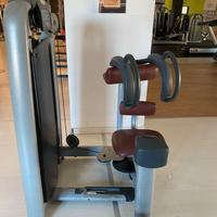 Rotary torso technogym linea Selection