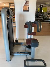 Rotary torso technogym linea Selection
