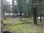 Immagine 26