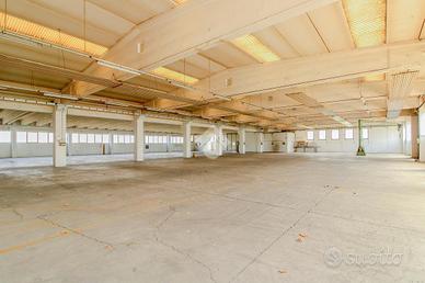 CAPANNONE A PALAZZOLO SULL'OGLIO