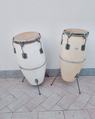 bonghi Congas